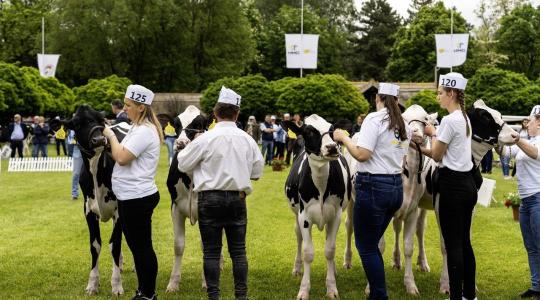 AXIÁL – Állattenyésztési és Mezőgazda Napok