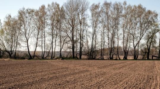 Vigyázz! Ha ezt teszed, bírságot kapsz, és csökkenhet a mezőgazdasági támogatásod!
