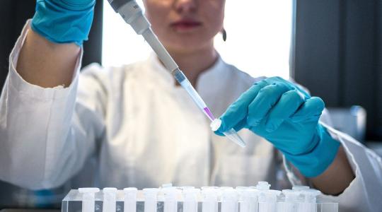 Digitális fordulat a Nébihnél: elkészült a világ legmodernebb élelmiszer-adatbázisa