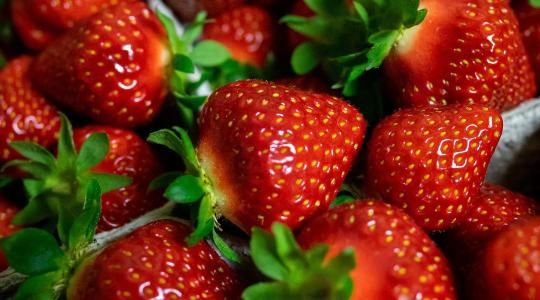 Veszélyben a tavaszi eper és dinnye: költséghullám tarolja le Andalúziát