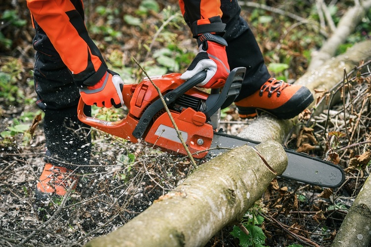 fűnyírás, lombfújás