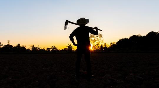 Támogatáscsökkentés jöhet: új szabályok 2026-tól