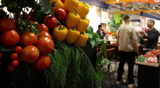 Ezt tudja a magyar fejlesztés, ami lenyűgözte a világot a Fruit Logisticán