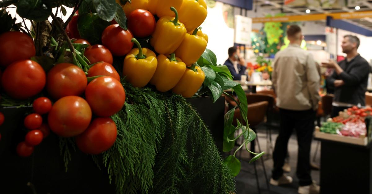 Ezt tudja a magyar fejlesztés, ami lenyűgözte a világot a Fruit Logisticán