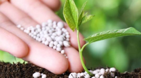 Műtrágya-rulett: aki elrontja most az időzítést, az egész éves profitját elégetheti