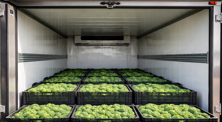 A hűtőkamion ezer kilométeres távolságokra is kizárólagos szállítási eszköz