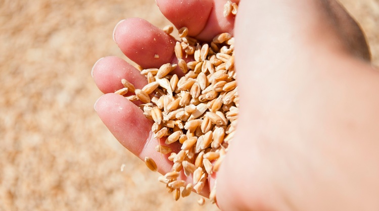 Az utóbbi hónap árnyertese