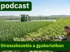 Agroinform Podcast: Növénykondicionálás stresszhelyzetben