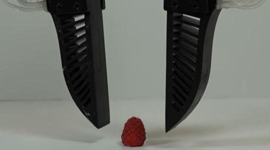 Váratlan fejlesztés Texasból: megoldódott az automatizált gyümölcsszedés legnagyobb gondja Váratlan fejlesztés Texasból: megoldódott az automatizált gyümölcsszedés legnagyobb gondja