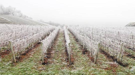 Március végi hózápor: elkerülhetetlen, de legalább előre látjuk