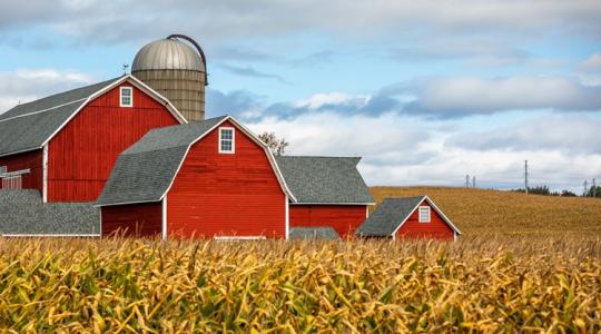 A nagy felfordulások mindig a helyi katasztrófákkal kezdődnek A nagy felfordulások mindig a helyi katasztrófákkal kezdődnek