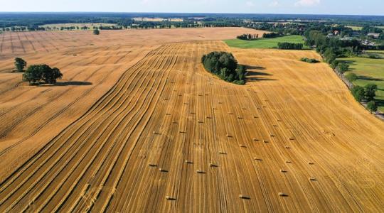 Elképesztő számok: gazdák helyett ipari óriások kezébe vándorol a német termőföld
