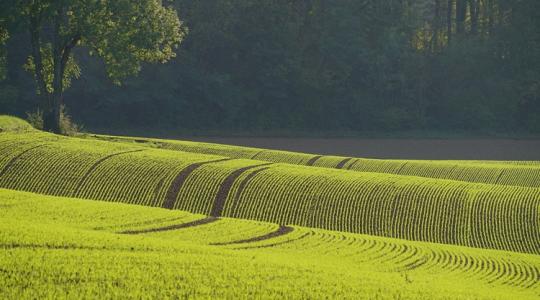 Időjárás: Siess délelőtt a kinti munkákkal, mert meglepetés érhet Időjárás: Siess délelőtt a kinti munkákkal, mert meglepetés érhet