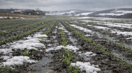 Véget érhet a héten az aszály, de nagy árat fizethetünk érte