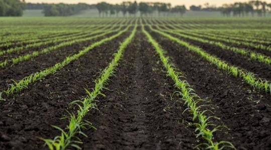 Hubai Imre: Évente 3–5 centit veszítünk a talajvízből Hubai Imre: Évente 3–5 centit veszítünk a talajvízből