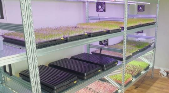 Rövid ciklus, fix vevőkör: ezért éri meg az új módszer Rövid ciklus, fix vevőkör: ezért éri meg az új módszer