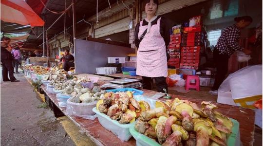 A vargánya veszélyes rokona: miért lát mindenki apró embereket egy gomba után?