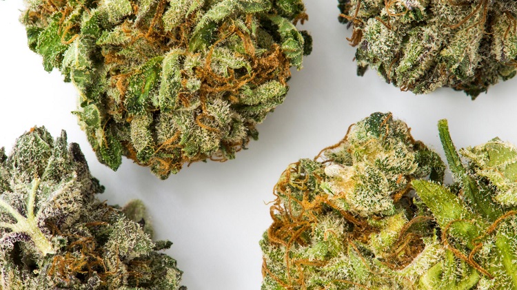 kratomit