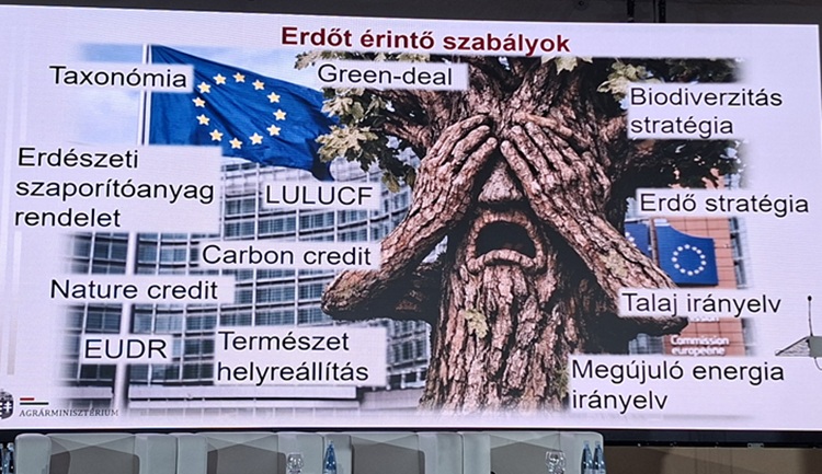 Az erdőgazdálkodás egy túlszabályozott terület