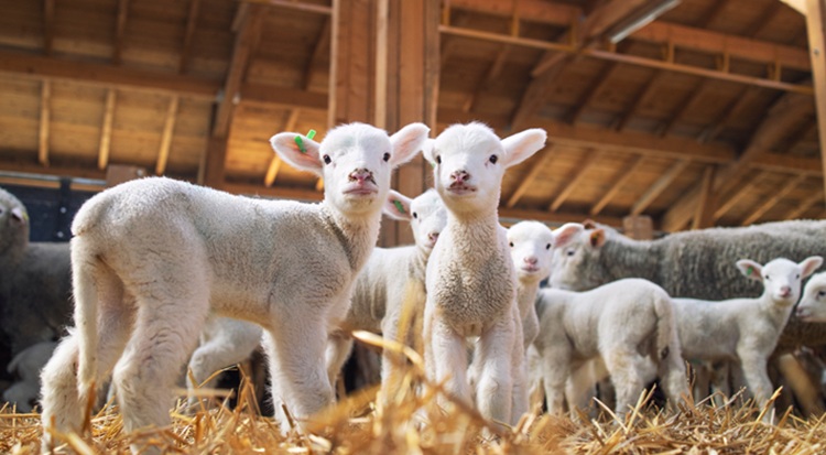 Húsvét után is jó ára lesz - ígéri a kereskedő