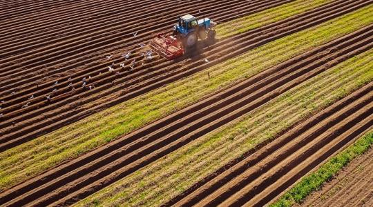 Szigorú tilalom: elkaszálja a földhivatal a túl kreatív haszonbérleti szerződéseket