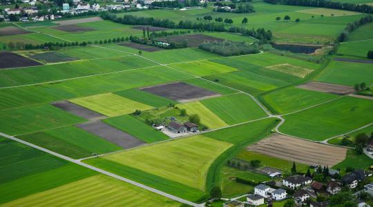 Agrárjog gazdáknak: ezek a leggyakoribb hibák a termőföld adásvételi szerződések megkötése során 