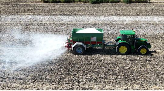 Miért lesz dúsabb a gyökérrendszer gipszes kezelés után? A kalcium szerkezetjavító logikája