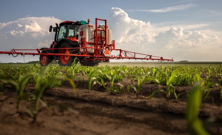 tavaszi szántóföld