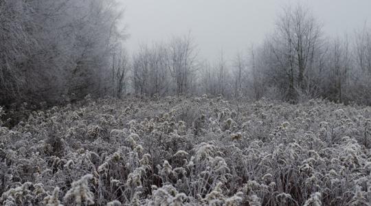 A fél ország sírva fog fakadni: mutatjuk, melyik fele!