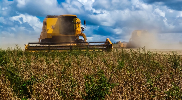 Még zajlik a szójaaratás Brazíliában