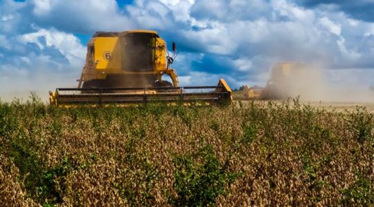 Nincs fék a brazil szójatermelésben? Meddig nőhet az export?
