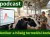 Agroinform Podcast: Állati teljesítmény nyáron – hogyan védekezzünk a hőstressz ellen?