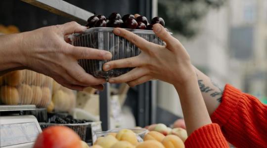 Rövidebb tenyészidő, kevesebb vitamin: kiderült, miért nem olyan az íze az ételnek, mint régen Rövidebb tenyészidő, kevesebb vitamin: kiderült, miért nem olyan az íze az ételnek, mint régen