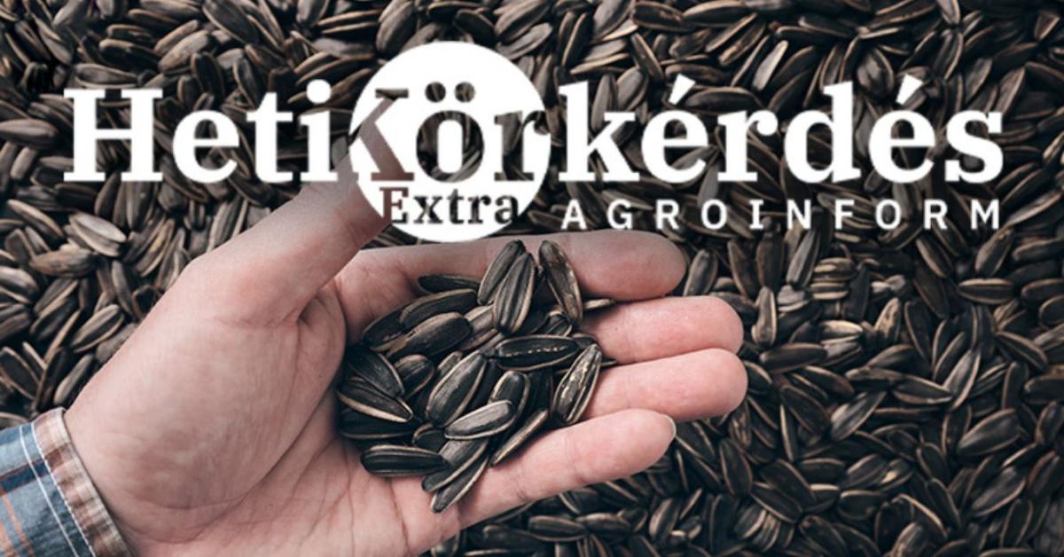 Tavaszi vetőmag-kínálat: mi érhető el most? – Heti Körkérdés Extra