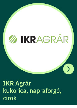 heti körkérdés extra
