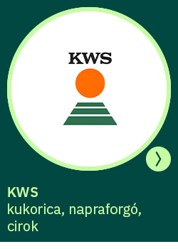 heti körkérdés extra