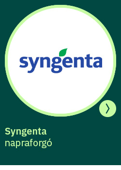 heti körkérdés extra