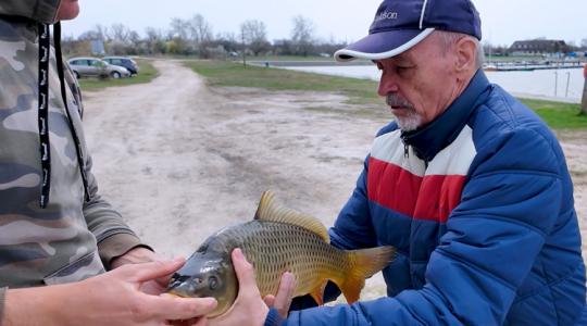 Félnek a horgászok, de nem várhatott tovább a MOHOSZ Félnek a horgászok, de nem várhatott tovább a MOHOSZ