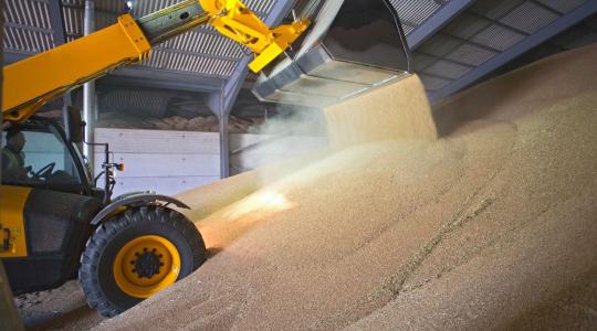 Rekordszinten a búzakészletek Magyarországon Rekordszinten a búzakészletek Magyarországon
