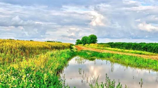 A klímaváltozás elleni védekezés a talajban kezdődik A klímaváltozás elleni védekezés a talajban kezdődik