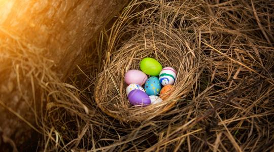 Ha ezt te is így csinálod, ezt a húsvétot nagyon fogjátok szeretni! Ha ezt te is így csinálod, ezt a húsvétot nagyon fogjátok szeretni!