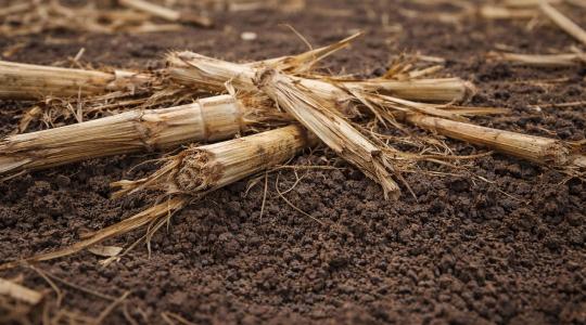 Mindenki az aszályról beszél – pedig nem ez a fő probléma Mindenki az aszályról beszél – pedig nem ez a fő probléma