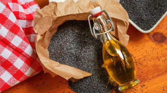 Megállíthatja a csontritkulást a mákolaj? Debrecenben keresik a választ Megállíthatja a csontritkulást a mákolaj? Debrecenben keresik a választ