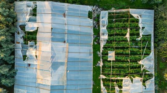 Időjárás: Vigyázz a fóliákra, 95 km/h-s szélrohamok téphetik meg a gazdaságokat! Időjárás: Vigyázz a fóliákra, 95 km/h-s szélrohamok téphetik meg a gazdaságokat!