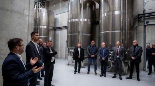 Ez a titok: hogyan tudnak versenyképesek maradni a borászatok?