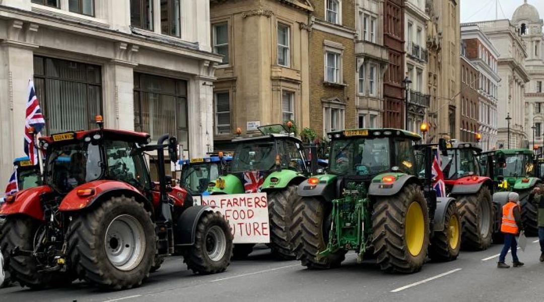 Milliárdos csata Brüsszelben: Az EP 430 milliárd euróra emelné a mezőgazdasági büdzsét