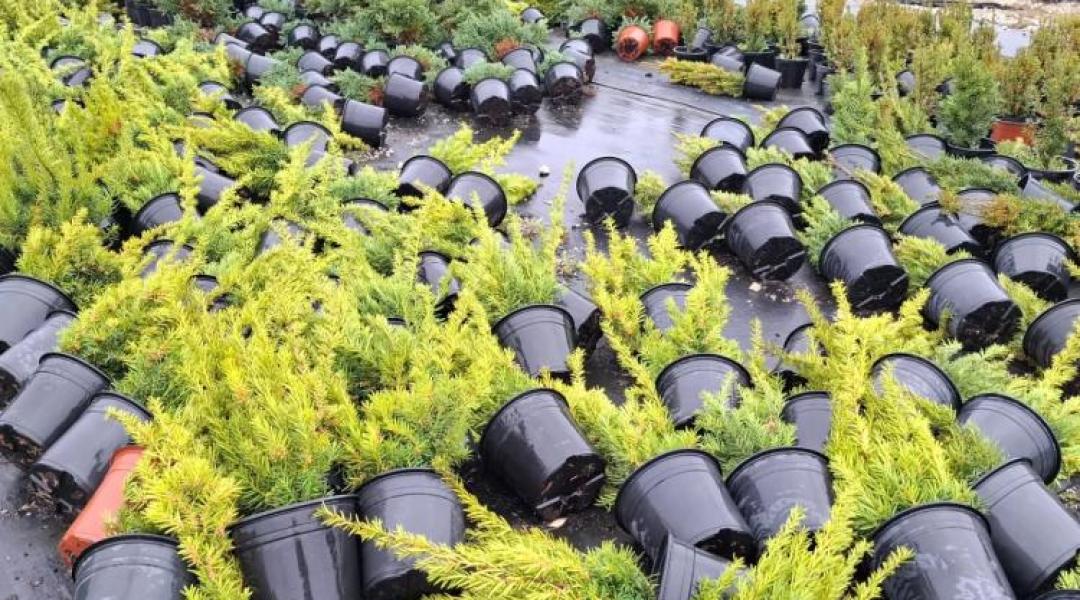 Hét vármegyére adtak ki riasztást! Ez vár ránk ma...