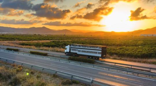Útdíj: könnyítés a gazdáknak, hosszabb érvényesség a viszonylati jegyeknél