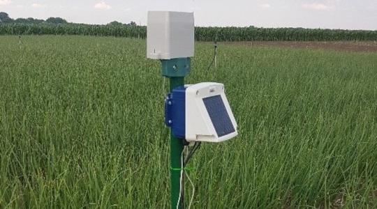 Precíziós öntözés: kevesebb víz, nagyobb biztonság