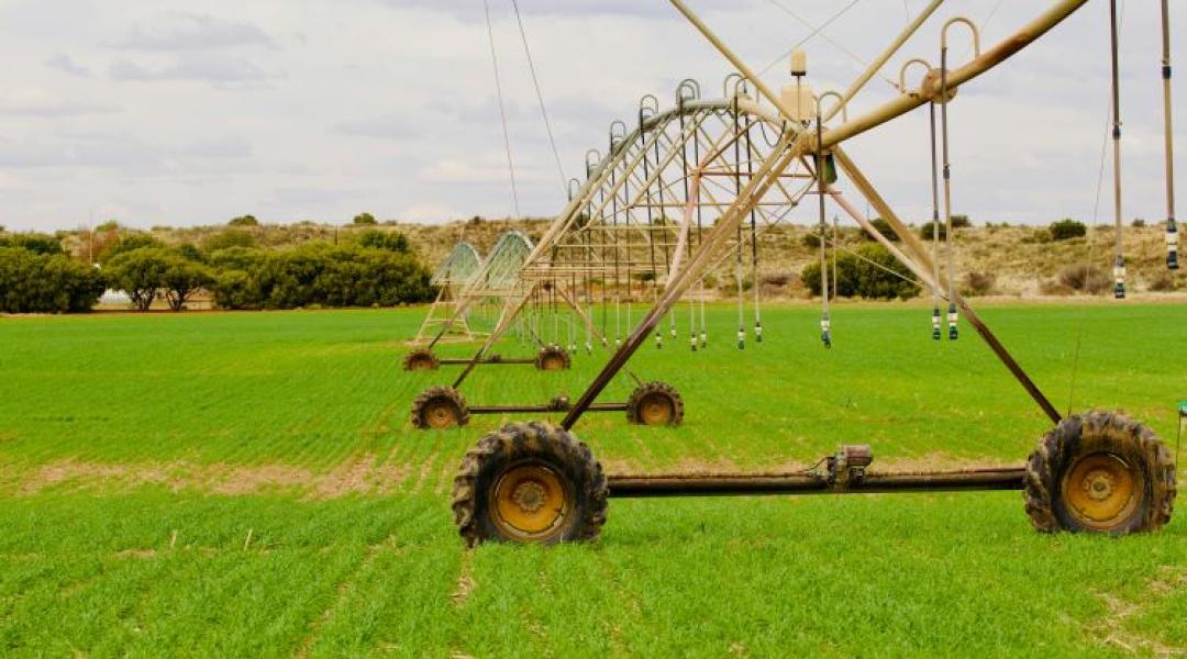 Öntözéses mintaprogram Békésben: Vége lehet a kiszolgáltatottságnak?